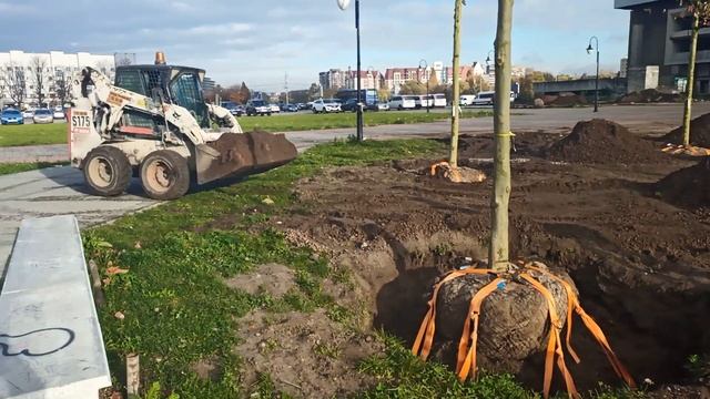 Bobcat S175 / Благоустройство территории Дома Советов в Калининграде: посадка деревьев и озеленение смотреть онлайн