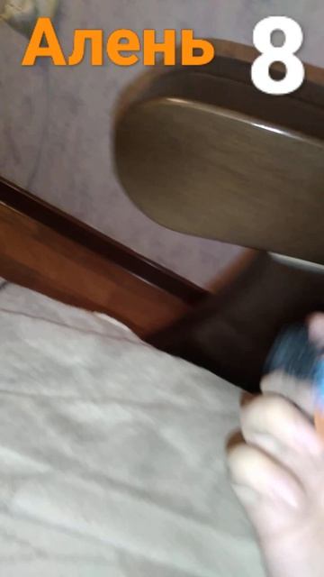 На фото ты в этой жизни Медведь ты не Медведь смотреть онлайн