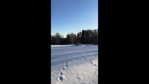 Зем. Участок