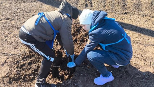 сад памяти смотреть онлайн