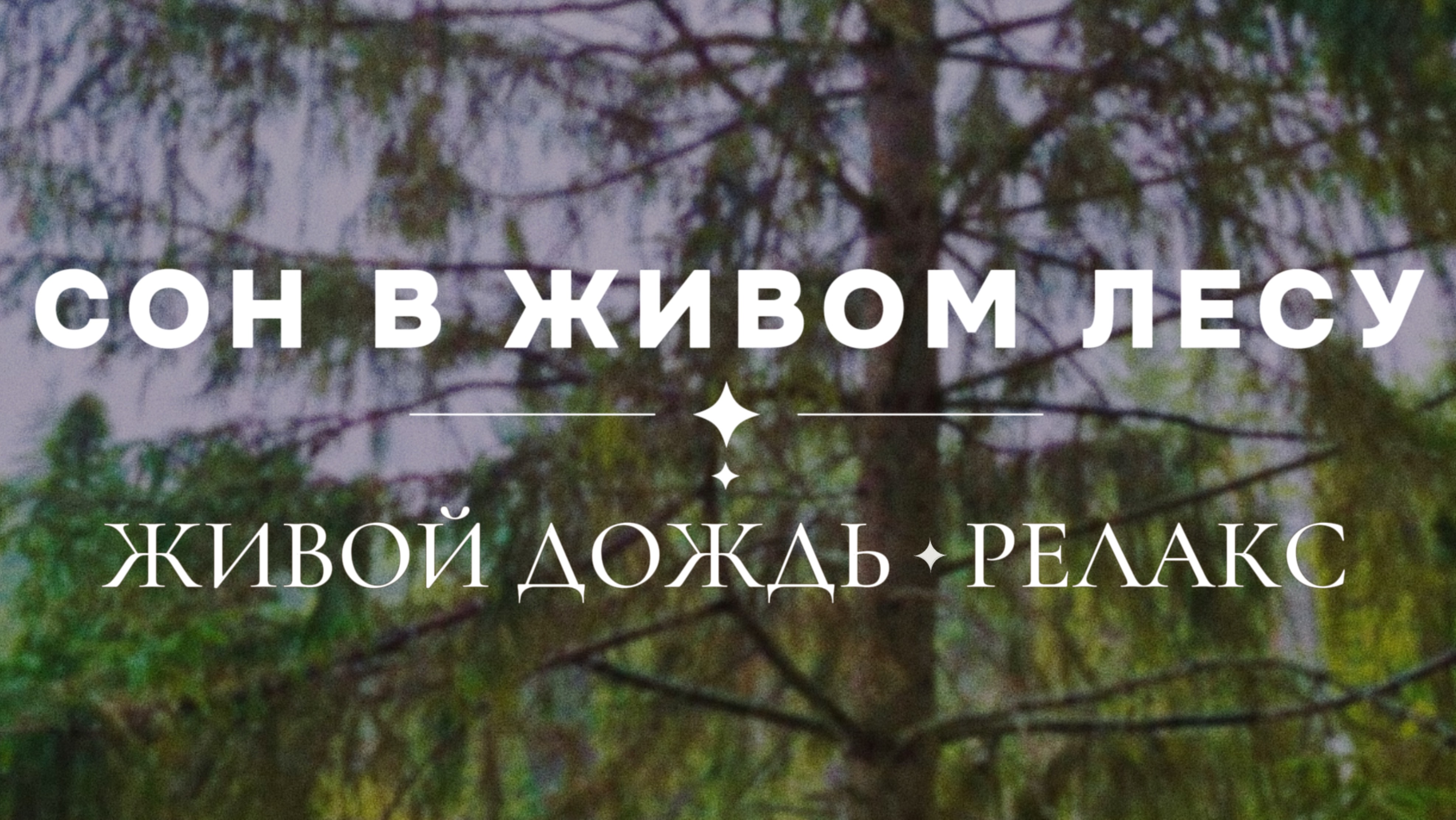 3 часа беспрерывного успокаивающего дождя. Живая природа. Божественная энергия для релаксации.