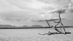 Vinicio Capossela - Estate