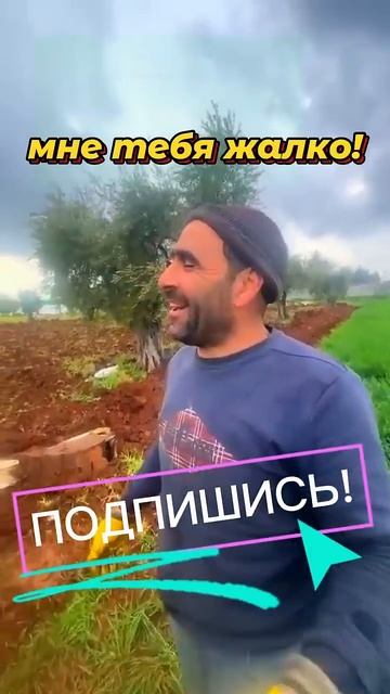 ЧТО ты бухал⁉️ #трактор #jcb #спецтехника #поломка #юмор #стройка #ремонт #узбек #приколы #авария смотреть онлайн