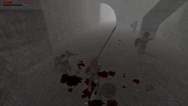 Blade of Darkness. Прохождение за амазонку #2