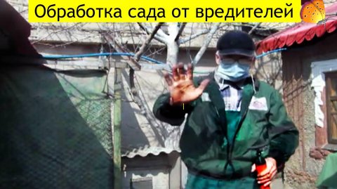 1я-ВАЖНАЯ обработка сада от вредителей