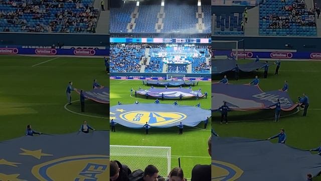 Зенит-БАТЭ 5-0.
