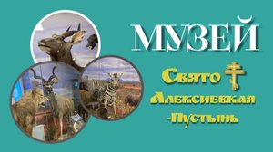 Музей в Свято Алексиевской-Пустыни