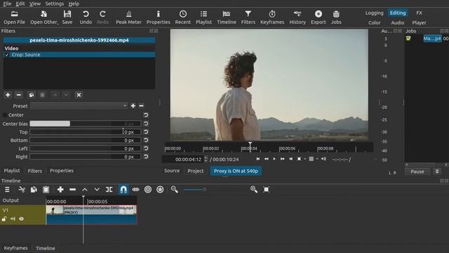Shotcut black bars | Cinematic look | Shotcut tutorial in hindi смотреть онлайн