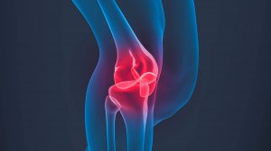 Цикл лекций Европейской клиники спортивной травматологии и ортопедии EMC