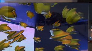 Телевизор Hisense 50A6K СТОИТ ЛИ БРАТЬ?