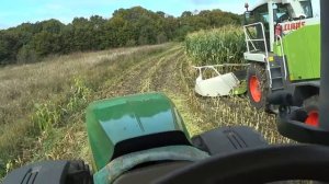 Начали косить кукурузу на силос   Я на своем тракторе Д Д 8 с телегой Fliegl