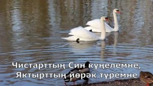 141 Шөкер итәм Син барлыкка