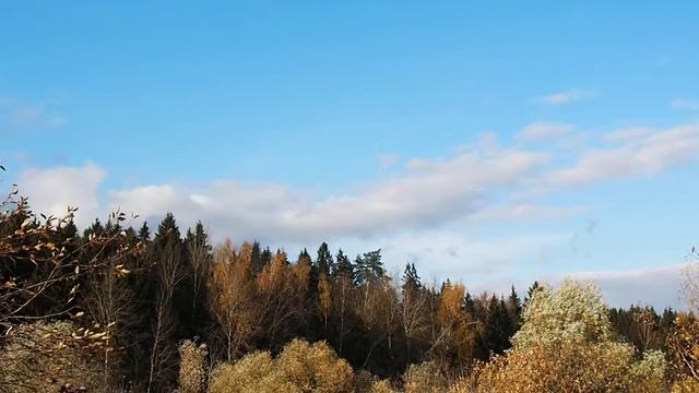 осень золотая москва