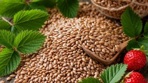 Эффективные народные средства для лечения цистита и пиелонефрита.