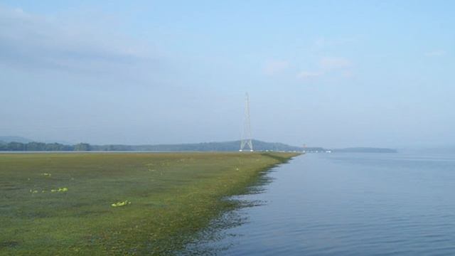 The #1 COVER For BASS // 7 High Percentage Grass Areas For Bass смотреть онлайн