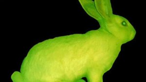 GFP Bunny Bio Art