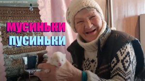 ЧТО РАССКАЗАЛА ТЁТЯ ВАЛЯ ПРО ДЕДА МАТВЕЯ 😱 😱 😱 😱 😱