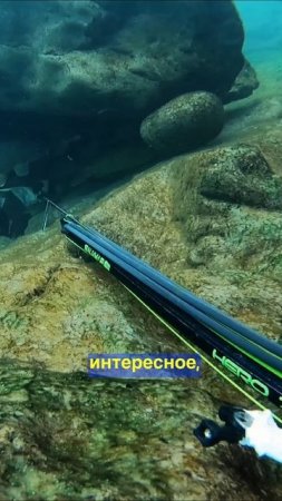 Туристы получают трофейную рыбу а я нет! Подводная охота Дагестан