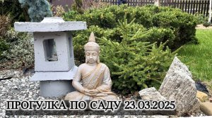 Прогулка по саду 23.03.2025