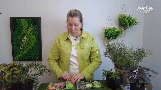 ЛУЧШИЕ СЕМЕНА КАПУСТЫ НА РАССАДУ - СЕЙТЕ, НЕ ПРОГАДАЕТЕ! смотреть онлайн