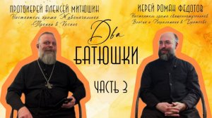 Пост перед Причастием, изменение внешности /ДВА БАТЮШКИ/иерей Роман Федотов Чаcть 3