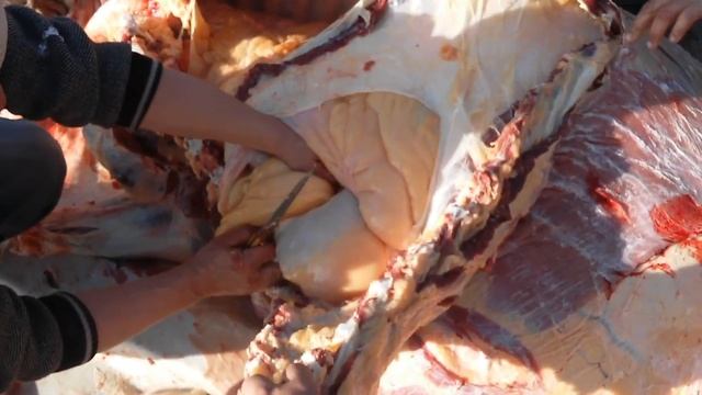 Қыстық соғым.СУПЕР ТЕЗ СОЮ ƏДІСІ.ӨТЕ СЕМІЗ БОЛДЫ өте ауыр тартты