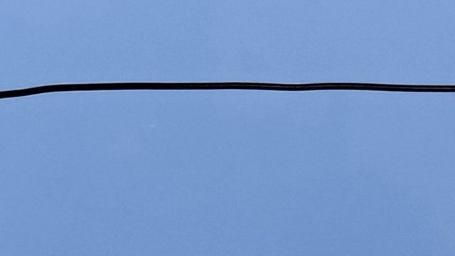 24.03.2025г.Перекличка.Не хватило памяти.Все дома.