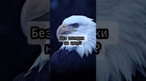 12 вещей, которые нужно понять, каждому!!!