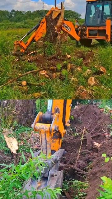 А Вы сомневались⁉️ #трактор #jcb #стройка #участок #планировка #дача #дом #расчистка #спецтехника смотреть онлайн