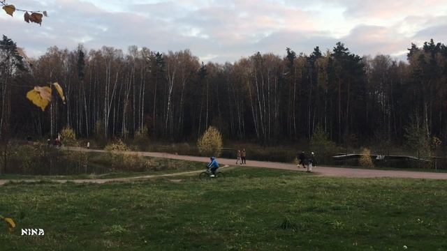 Послушайте Красивую Умиротворяющую МУЗЫКУ, Прогуливаясь Осенними Тропами! смотреть онлайн