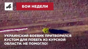 Украинский боевик притворился кустом для побега из Курской области. Не помогло!