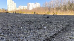 MJX h8h+ скорость на Li-po 2s.