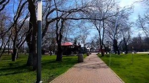 Комсомольский парк и пляж Черепашка