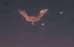 Двухкилометровый V-Образный Корабль