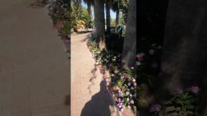 Обзор и прогулка по территории Von resort golden beach, september 2020