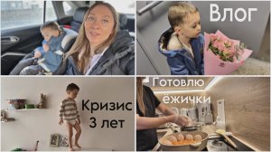 Влог |  истерики в 2,5 года |  мотивация на уборку | ежички на сковородке