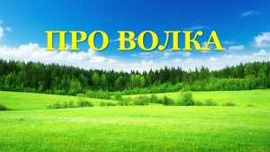 ЖИЛ-БЫЛ ВОЛК