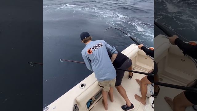 Yellowfin Tuna – Fishing off Sydney onboard two Grady-White Boats смотреть онлайн