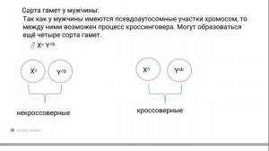 Решение сложных задач ЕГЭ. Биология. Псевдоаутосомное наследование