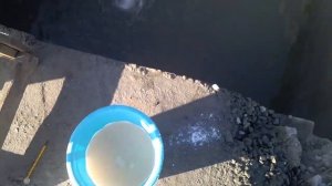 Бассейн для осетров и белуг, разводим рыб (день 1)