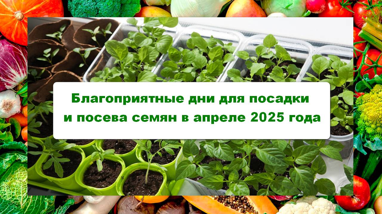 Благоприятные посадочные дни  по Лунному календарю в апреле 2025 года