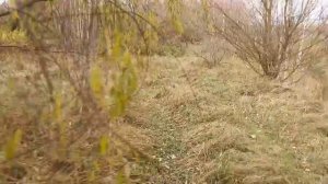 ЭТОТ МЕТАЛЛ НЕ ПОГРУЗИТЬ РУКАМИ!!!