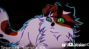 |коты-воители|•клип•|[дикая﹤﹥львица]Белка﹤﹥Кленовница |котывоители|БелкаКленовница|дикаяльвица|