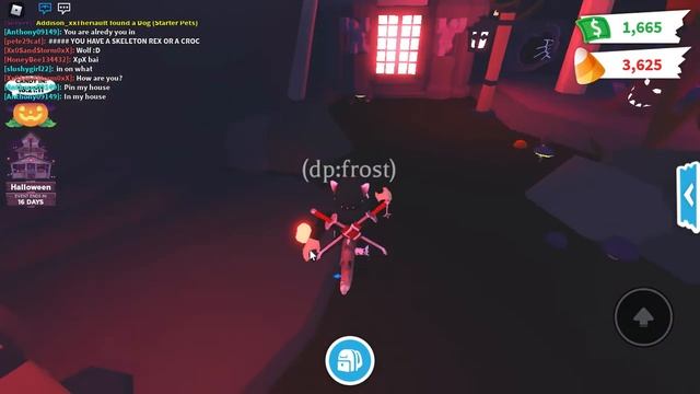 buying black ponycycle roblox adopt me Halloween update смотреть онлайн