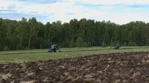 Вспашка земли тракторами Беларус МТЗ-82