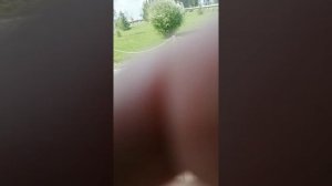 Вологодская область стризнево дино парк