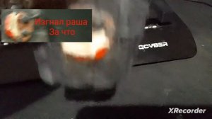 мультик из пластилина дорс анимация