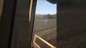 уборка семечки 8 сентября 2023 года урожайность 30 центнеров с гектара комбайн полесье десна gs 12