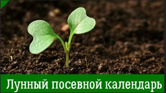 ЛУННЫЙ ПОСЕВНОЙ КАЛЕНДАРЬ на МАРТ 2025 г.