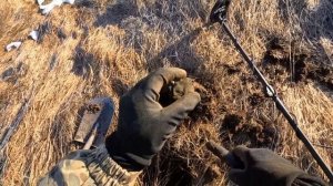 Весна и "интересные детали". Выпуск #2.